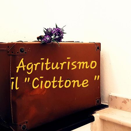 노세라 움브라 Il Ciottone 빌라 외부 사진