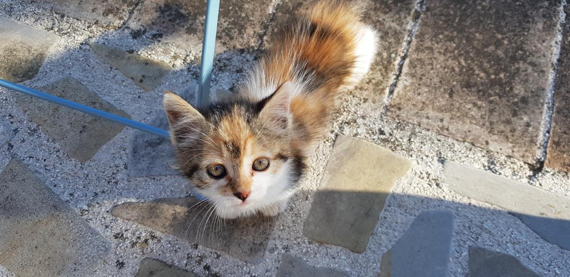 노세라 움브라 Il Ciottone 빌라 외부 사진